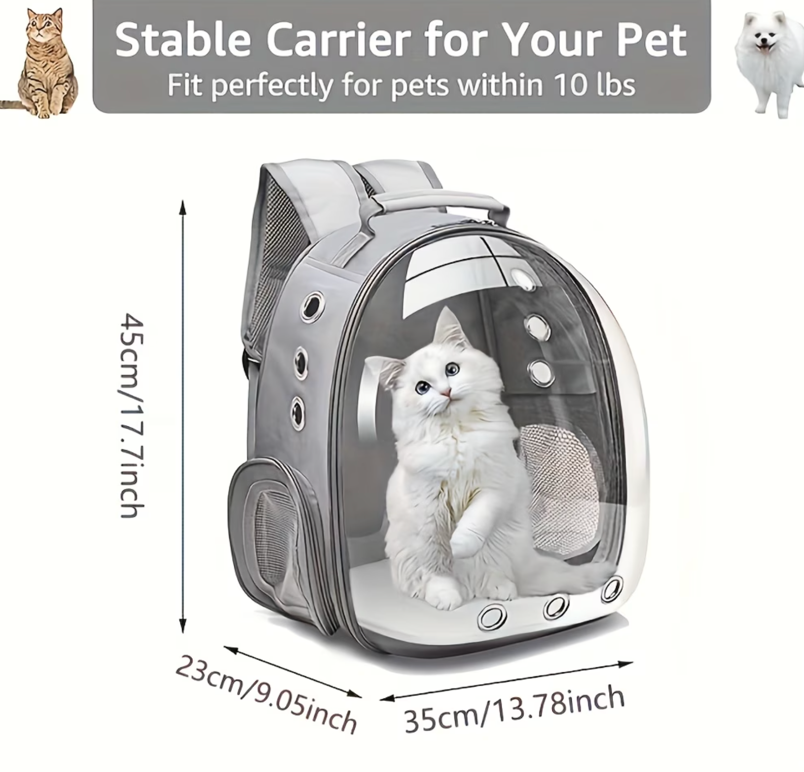 Cosmopaw