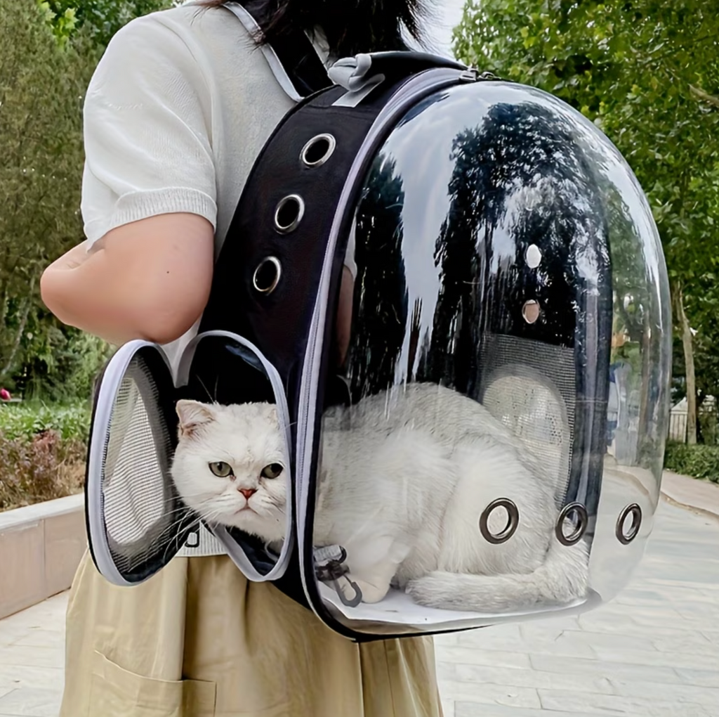 Cosmopaw