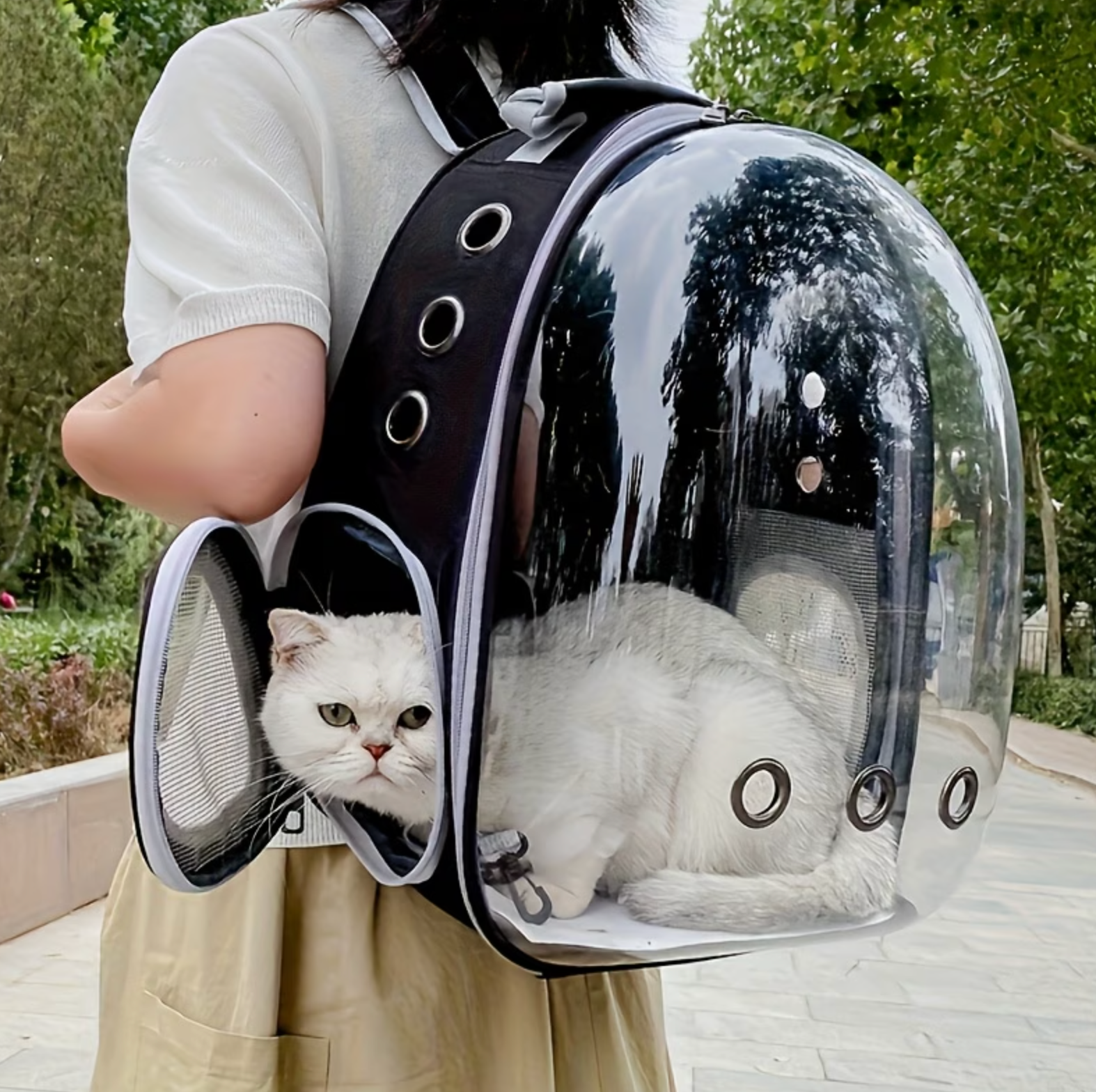 Cosmopaw