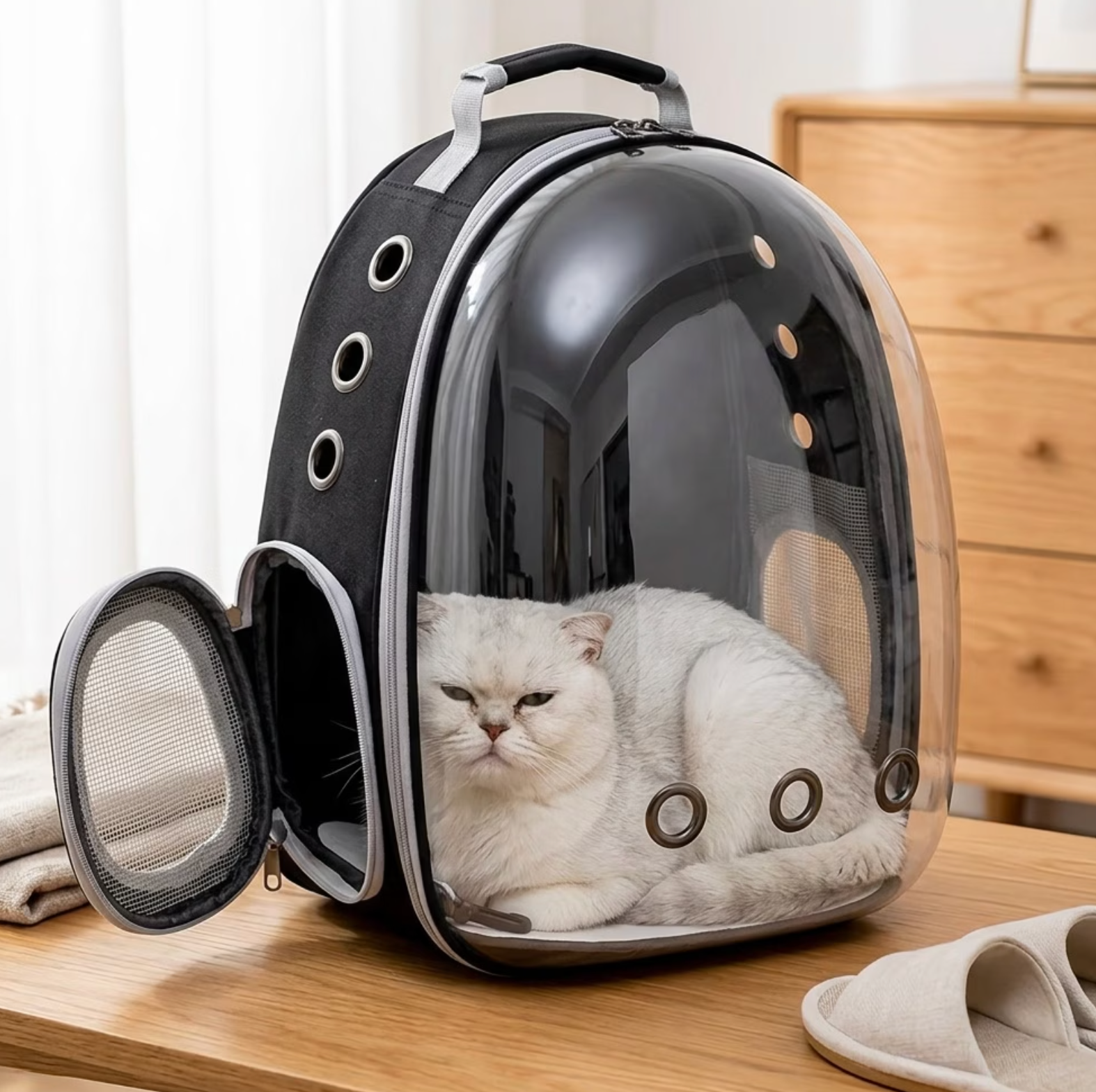 Cosmopaw