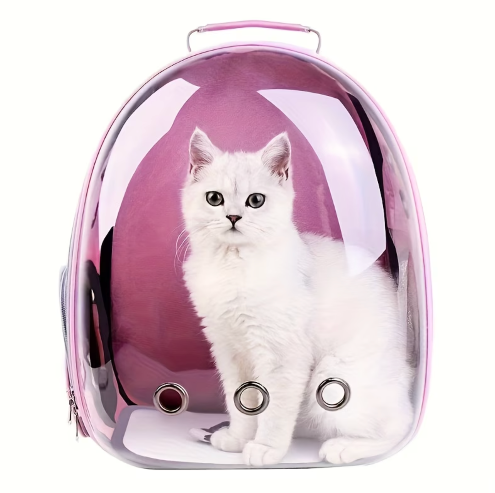 Cosmopaw