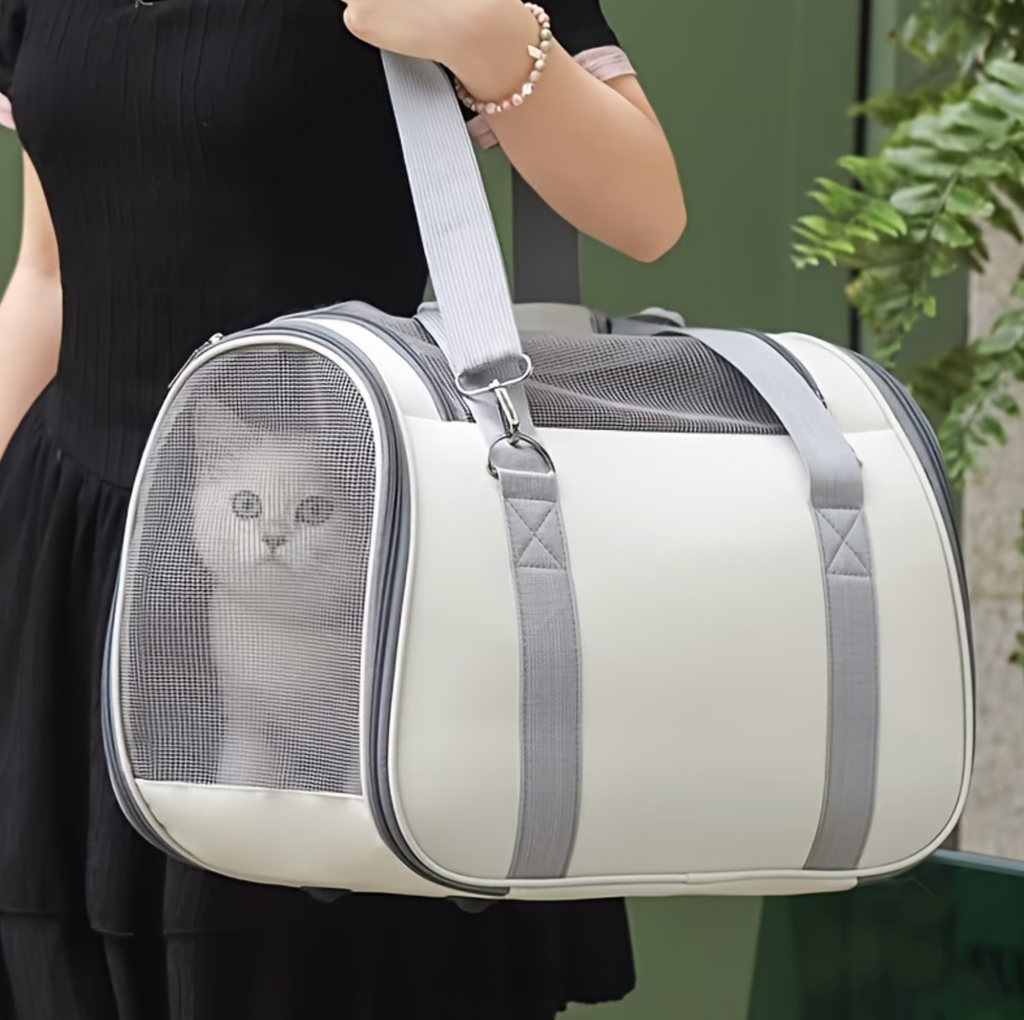 Pawtote